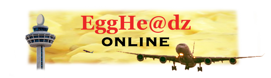 Welcome banner to Eggheadzz